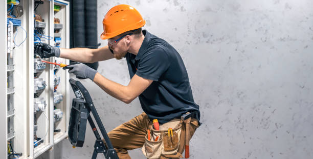 Best Electric Panel Repair  in Glenwood, IL